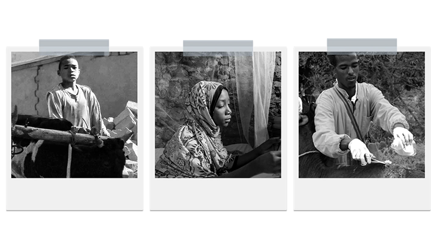 polaroid images of different people